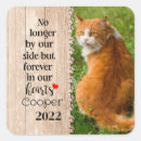 Search for bengal cat stickers Kitty