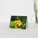Search for macro photography cards Nature