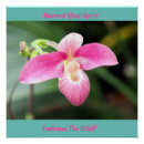 Search for orchids online art Pink