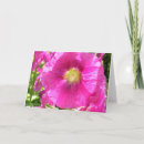 Search for hollyhock cards Pink