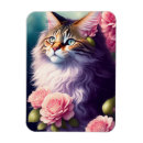 Search for rose colored magnets Multicolor