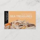 Search for coral photography Seashells