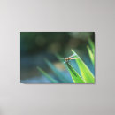 Search for dragonfly canvas prints Leaf