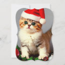 Search for kitten christmas cards Santa claus