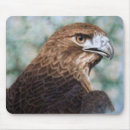 Search for tail mousepads Bird