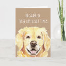 Search for golden retriever cards Cheerful