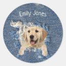 Search for golden retrievers stickers Pet