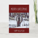 Search for pony christmas cards Winter