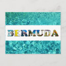Search for blue tropical postcards Pink