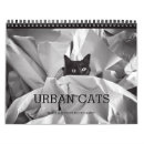 Search for black cat photography Animals