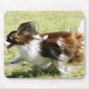 Search for blurred motion mousepads Outdoors
