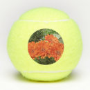 Search for orange tennis balls Photography