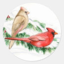 Search for cardinal bird art stickers Wildlife