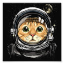 Search for moon face posters Stars