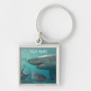 Search for shark key rings Ocean