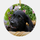 Search for black lab christmas tree decorations Funny