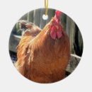 Search for poultries christmas tree decorations Rhode island red