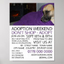 Search for adopt Animals