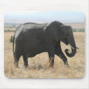 Search for elephant mousepads Tanzania