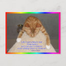 Search for faire postcards Pet