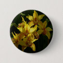 Search for orchid badges Flower