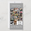 Search for rescue christmas cards Animals