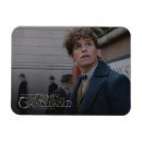 Search for newts magnets Wizarding world
