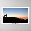 Search for inu posters Animals