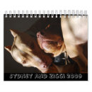 Search for pit calendars Dog