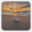 Search for pictures of shells stickers Seashell