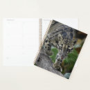 Search for clouded leopards Wildlife