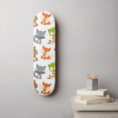 Search for raccoon skateboards Racoon