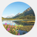 Search for made in alaska stickers State