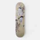 Search for hawk skateboards Falcon