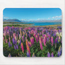 Search for lupin mousepads Flower