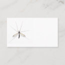 Search for mosquito business cards Insect