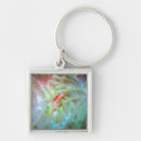 Search for anemone key rings Underwater