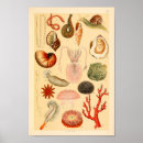 Search for collection art Vintage