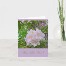 Search for pale photography Floral