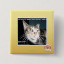 Search for were badges I can has cheezburger