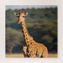 Search for spotted photography Giraffe
