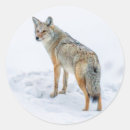 Search for gordon stickers Animal
