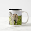 Search for zebra print mugs Wildlife