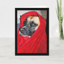 Search for blankets cards Photography
