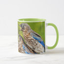 Search for eastern bluebird mugs Birding