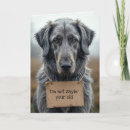 Search for grey dog cards Pet