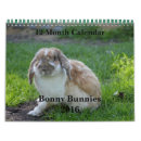 Search for bunny calendars Pets