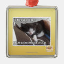 Search for no hugging christmas tree decorations I can has cheezburger