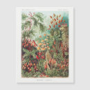 Search for vintage flower postcards Fantasy