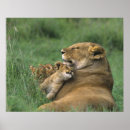 Search for panthera art Young